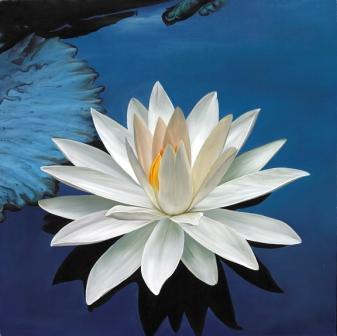 "White Lotus on Blue Water" uAsed with permission from Artist Paul Heussenstamm http://www.mandalas.com/mandala/htdocs/FlowerGallery/WhiteLotusonBlueWater.php
