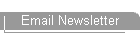 Email Newsletter